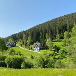 Lejlighed Schwarzwaldhaus Zwink *