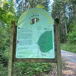 Schwarzwaldhaus Zwink Lejlighed