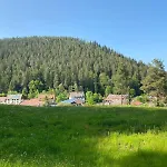 Schwarzwaldhaus Zwink