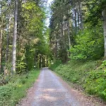 Schwarzwaldhaus Zwink Lejlighed *