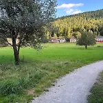 Schwarzwaldhaus Zwink Lejlighed Enzklösterle