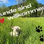 Schwarzwaldhaus Zwink *