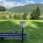 Schwarzwaldhaus Zwink * Enzklösterle