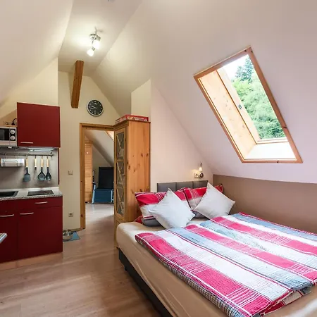 Apartment Schwarzwaldhaus Zwink