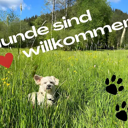 Schwarzwaldhaus Zwink