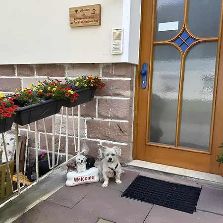 Schwarzwaldhaus Zwink Apartment