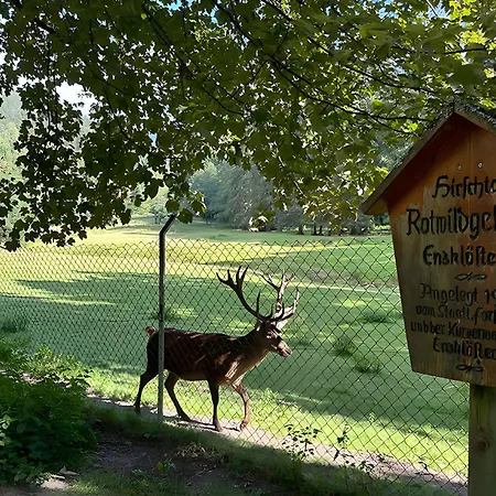 Schwarzwaldhaus Zwink * Enzklosterle