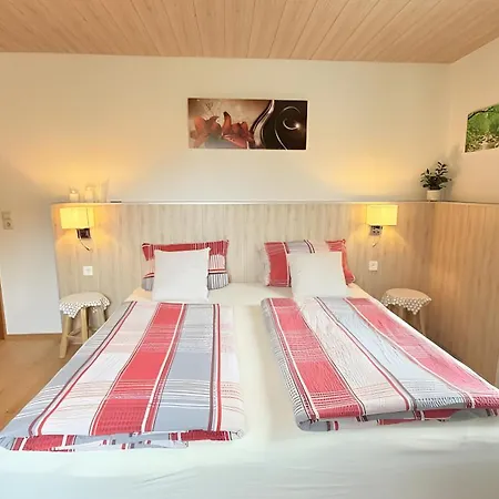 Schwarzwaldhaus Zwink شقة *