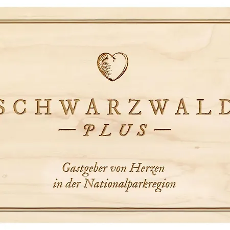 Schwarzwaldhaus Zwink Апартаменты *