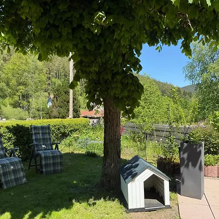 Schwarzwaldhaus Zwink Apartament Enzklösterle