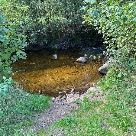Schwarzwaldhaus Zwink