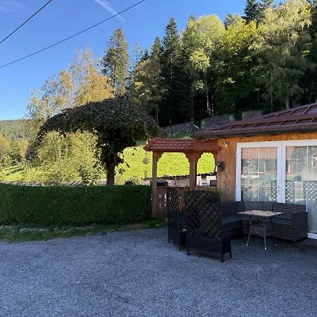 Apartamento Schwarzwaldhaus Zwink Enzklösterle